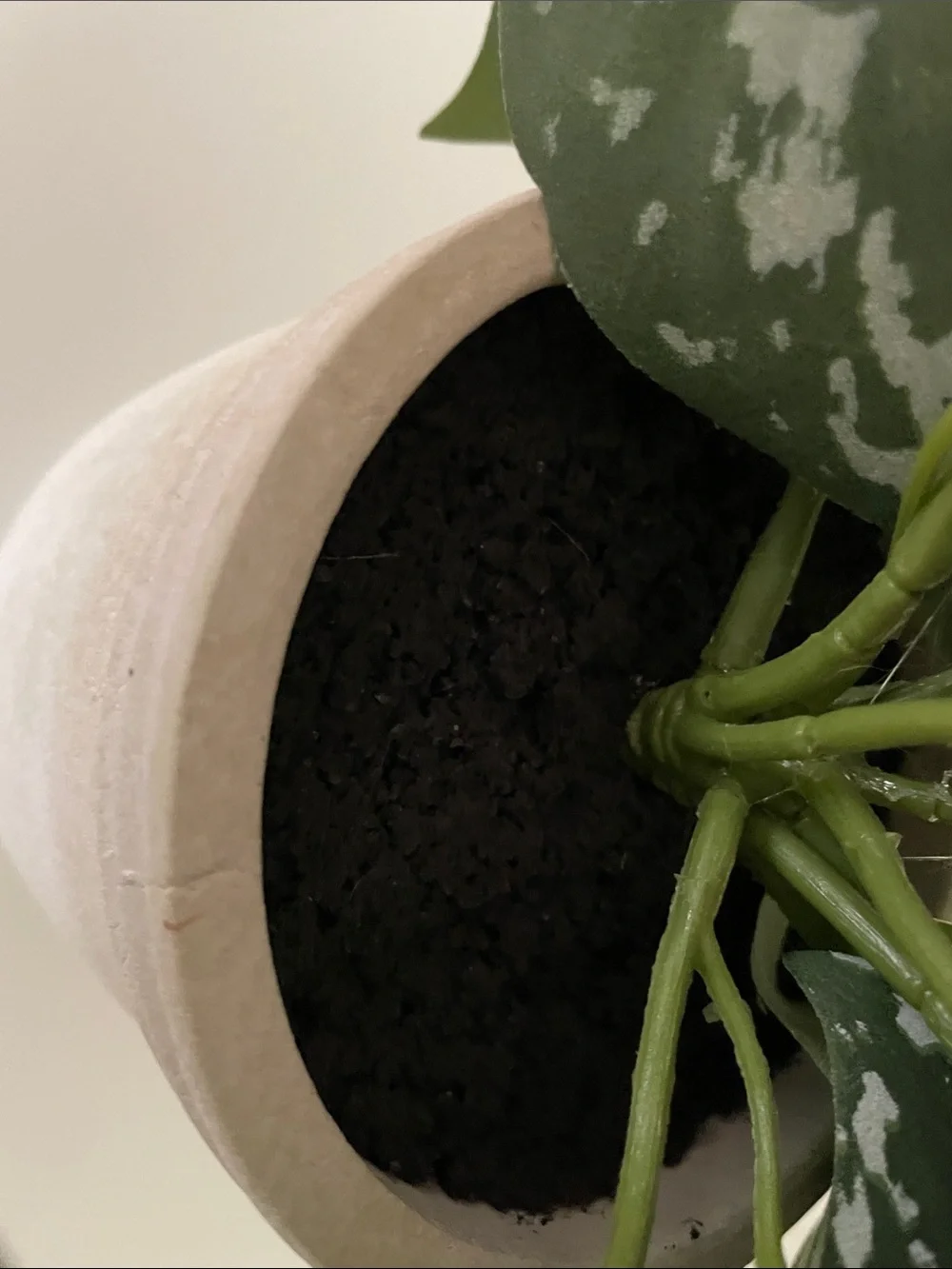 Tabletop Arrangement